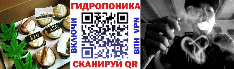 omg зеркало  Калачинск  Печенье с ТГК конопля 