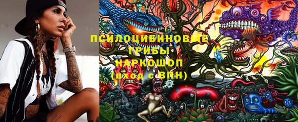 амф Абинск