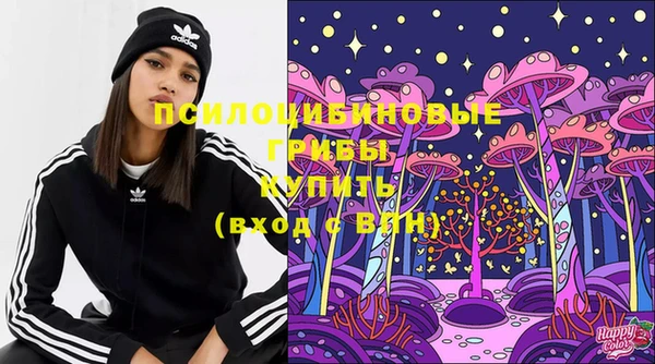 амф Абинск